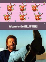 /album/fotogaleria/chuck-norris-jpg/
